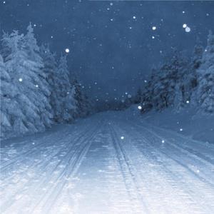 我家弟弟鸡真的很棒第一季在线观看高清
